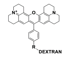 中英文说明丨艾美捷Antonia Red-葡聚糖 中英文说明丨艾美捷Antonia Red-葡聚糖