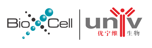 BioXcell提供体内抗体合约订制服务