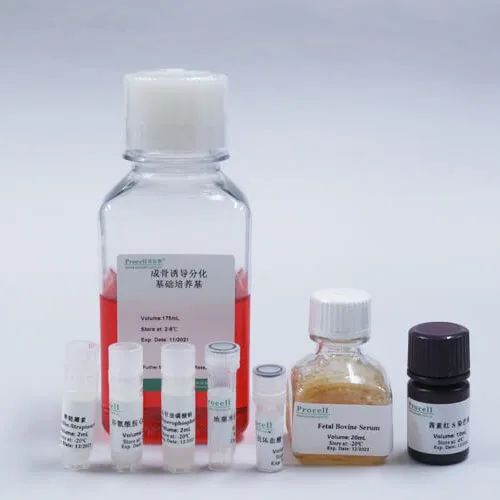 产品升级 | 干细胞成骨诱导分化培养基全新升级！