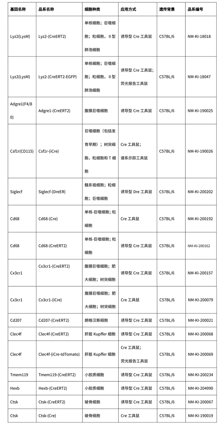 巨噬细胞上线，贴心呵护您的每一天