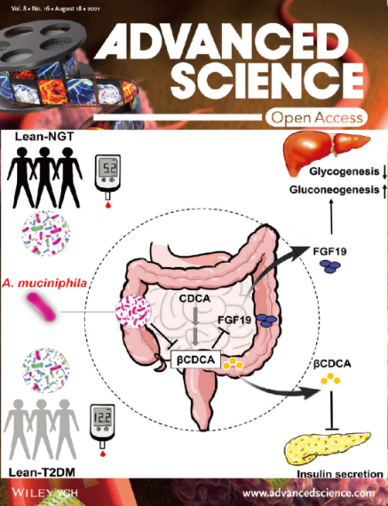 客户案例 | 瘦人也会得2型糖尿病？可能是因为AKK菌少了！