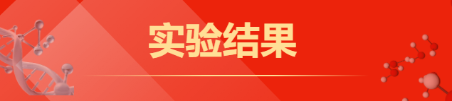 Orbitrap Exploris GC俯世而生，助您破局亚硝胺疑云