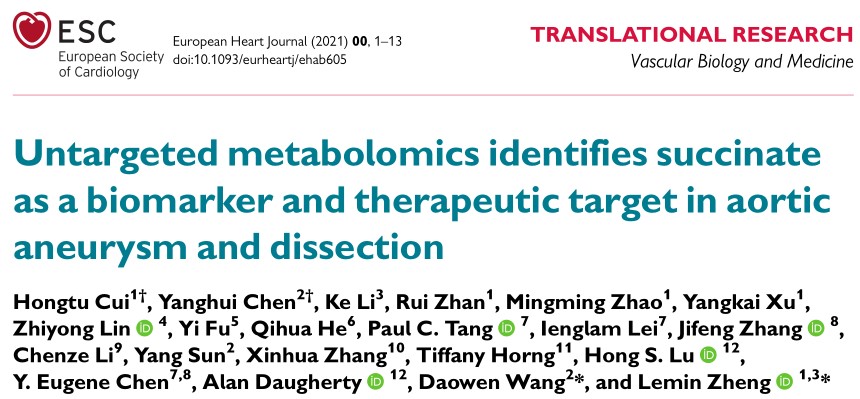 EHJ | 琥珀酸或是主动脉瘤和夹层的标志物及治疗靶点