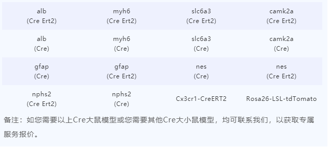 Cre-loxP重组系统