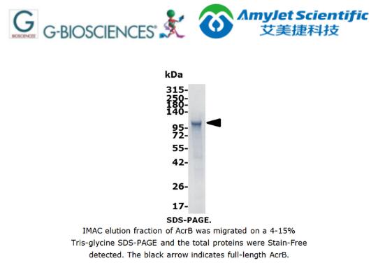 蛋白质、酶、生物标志物丨G-Biosciences Acriflavine抗性蛋B