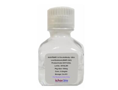 中英文说明书丨艾美捷CD8α体内抗体相关研究方案   