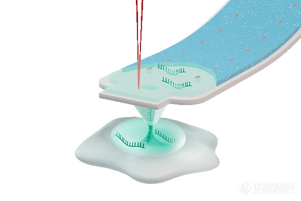 Nature、Cell等高水平文献带您解析：单细胞组学研究过程中保持细胞存活的全新方案！