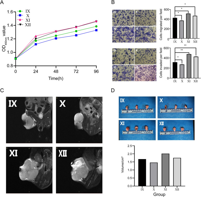 细胞功能实验 细胞功能实验