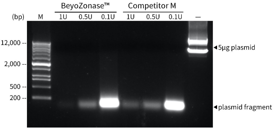 超级核酸酶，轻松解决核酸残留！