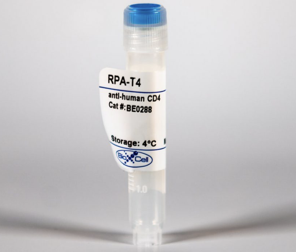 BioXcell特色产品推荐之：InVivoMAb anti-human CD4