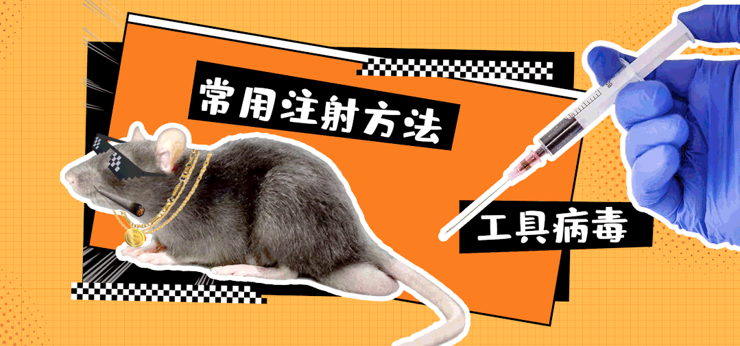 终于安排上了！手把手教你工具病毒的注射方法（中）