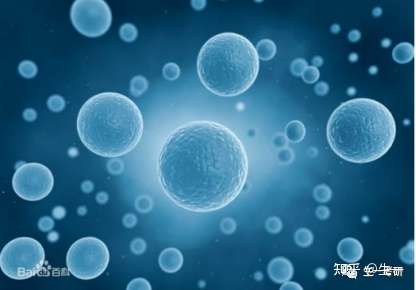 IPS诱导多能行干细胞的介绍