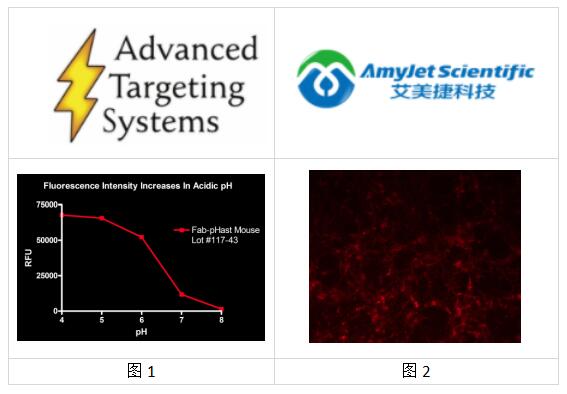 Advanced Targeting Systems 艾美捷Fab pHast小鼠说明 Advanced Targeting Systems 艾美捷Fab pHast小鼠说明
