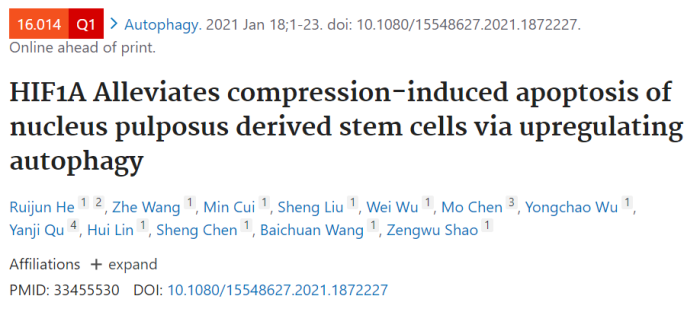 HIF1α通过上调自噬减缓压力诱导的髓核来源干细胞凋亡