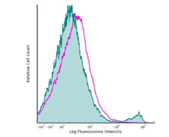 InVivoPlus抗小鼠CD8α，科研好物低价来袭