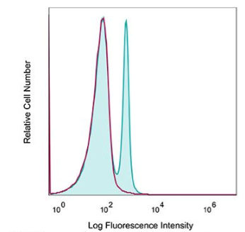 InVivoPlus抗小鼠CD4，低价开启抢购