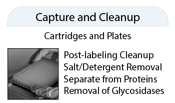 Capture and Cleanup.png