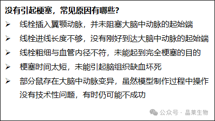 新闻图片7