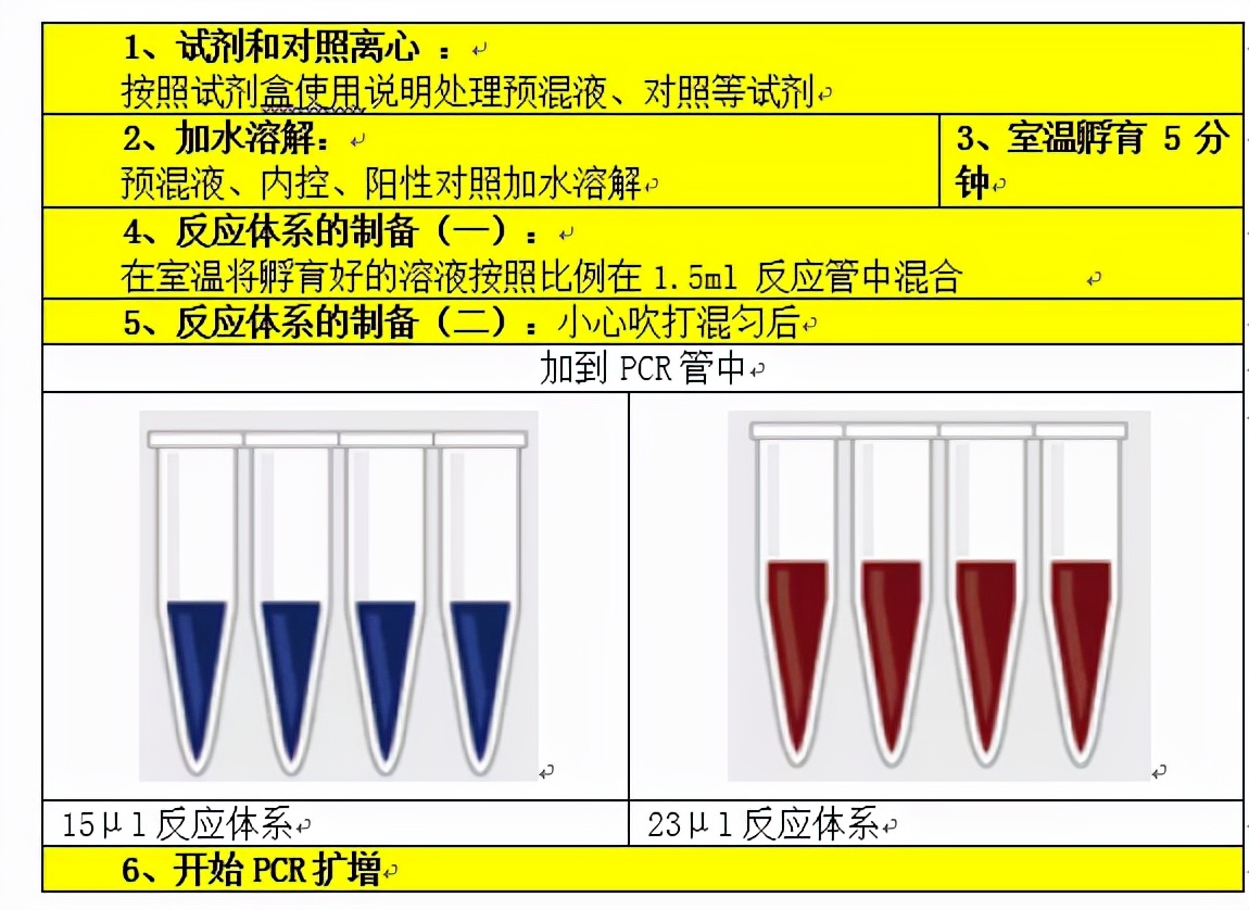 支原体常规检测方法汇总（之一）