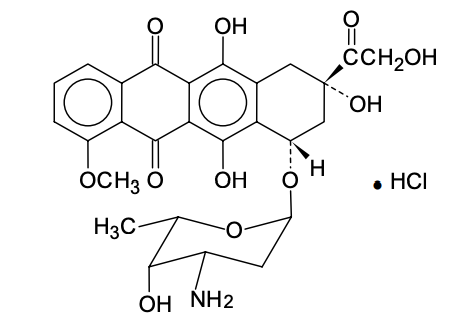 已上市3款多柔比星脂质体的对比