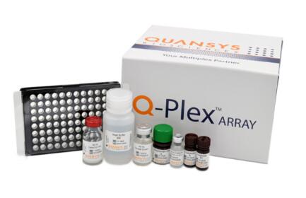 Cayman Chemical艾美捷Q-Plex小鼠细胞因子炎症HS特点