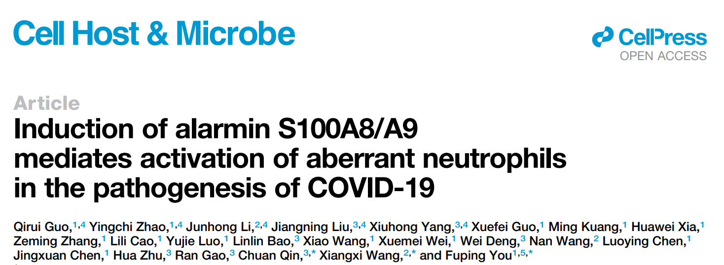 北大医学院、中科院生物物理所、协和医科大联合研究发现逆转新冠潜在新药物！