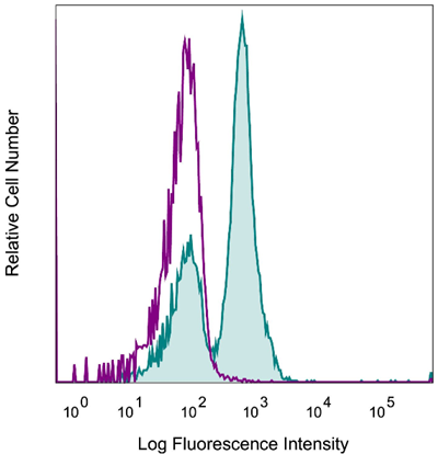 InVivoPlus抗小鼠CD40，助力科研突破