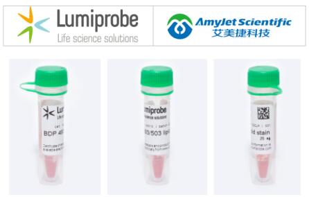 Lumiprobe 细胞成像丨BDP 493/503脂质染色剂研究