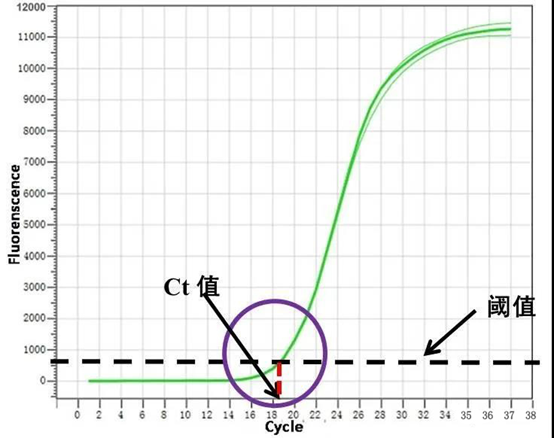 荧光定量PCR实验CT值分析