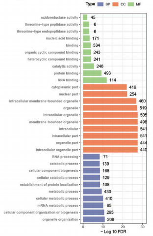 图3. 差异表达蛋白的GO富集分析