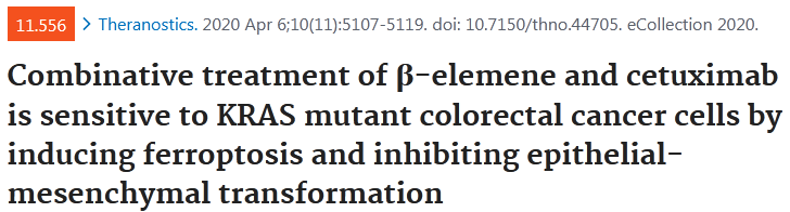 Theranostics:β-揽香烯和西妥昔单抗联合治疗通过诱导铁死亡和抑制EMT增强KRAS突变型结肠癌细胞敏感性