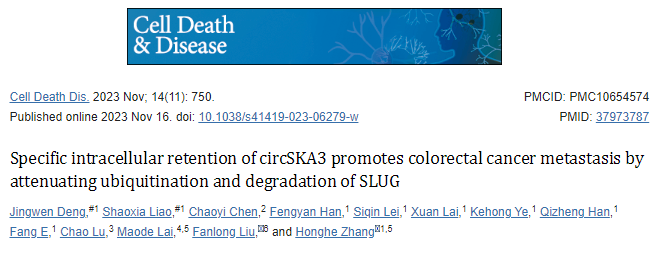 【Cell Death Disease】9分，circSKA3在细胞内的特异性保留通过减弱泛素化和SLUG的降解促进结直肠癌转移