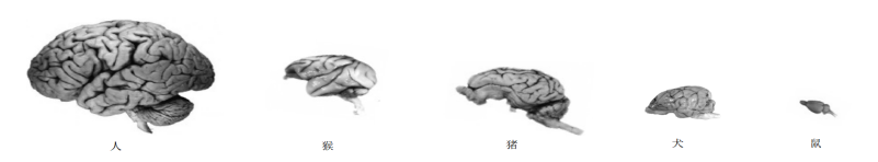 1711072588381879.png 1711072588381879.png