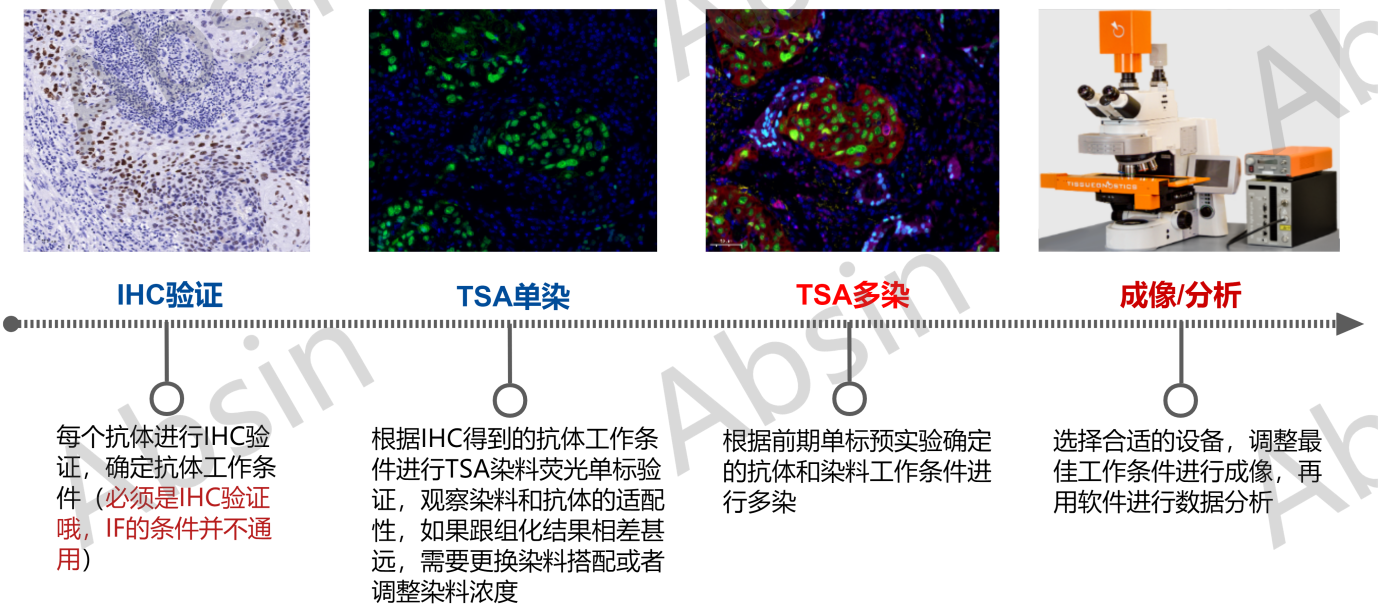 多重荧光免疫组化Q&A（第三弹）
