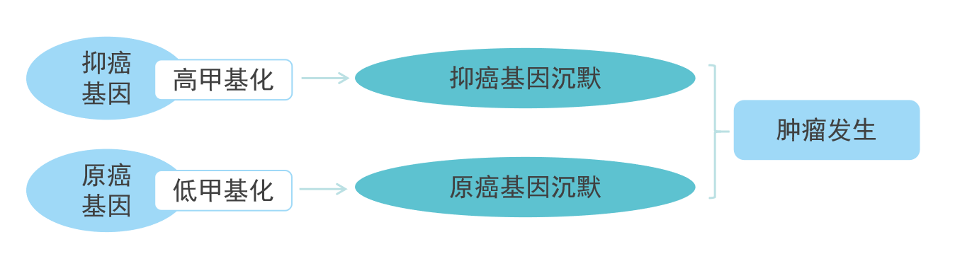 血液样本用于乳腺癌早期诊断