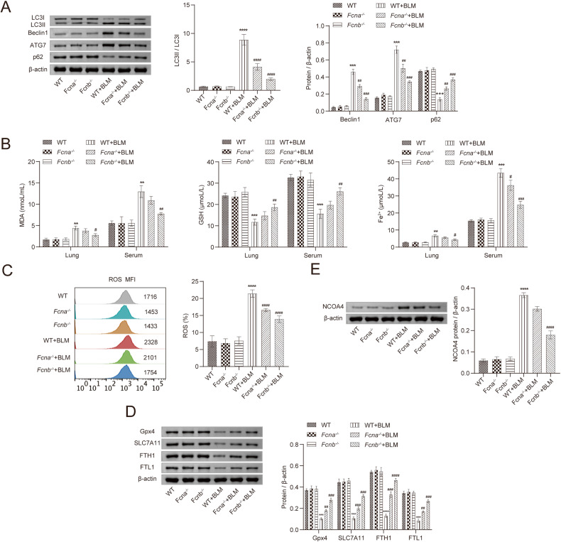 外泌体技术服务