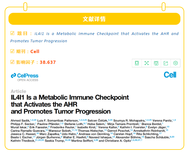 文献解读│Cell重磅癌症免疫疗法新靶点——IL4I1