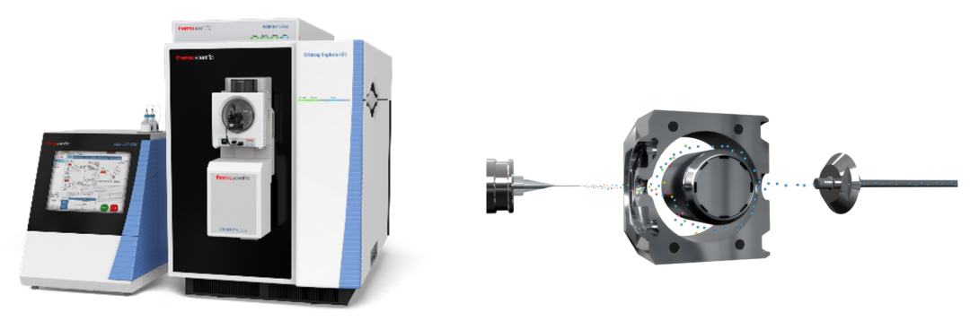 FAIMS Pro全新升级---FAIMS Pro Duo
