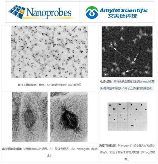 Nanoprobe 艾美捷纳米金颗粒应用&研究工具