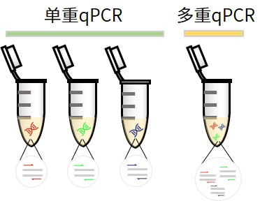 涨知识 | qPCR专场七：认识不同荧光定量PCR方法