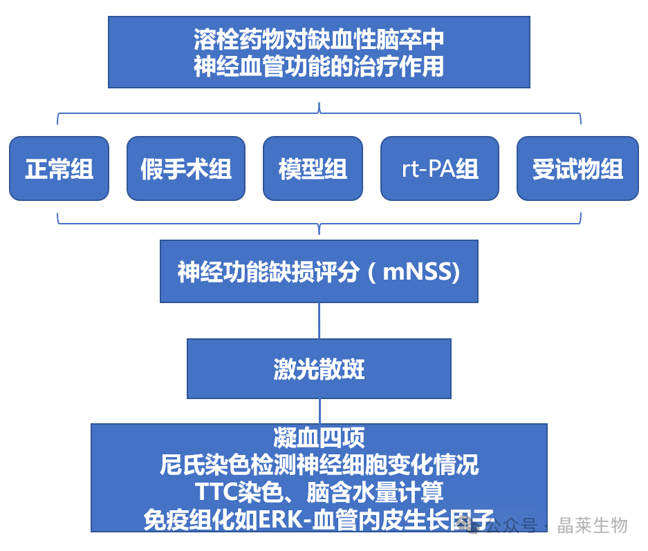 新闻图片11