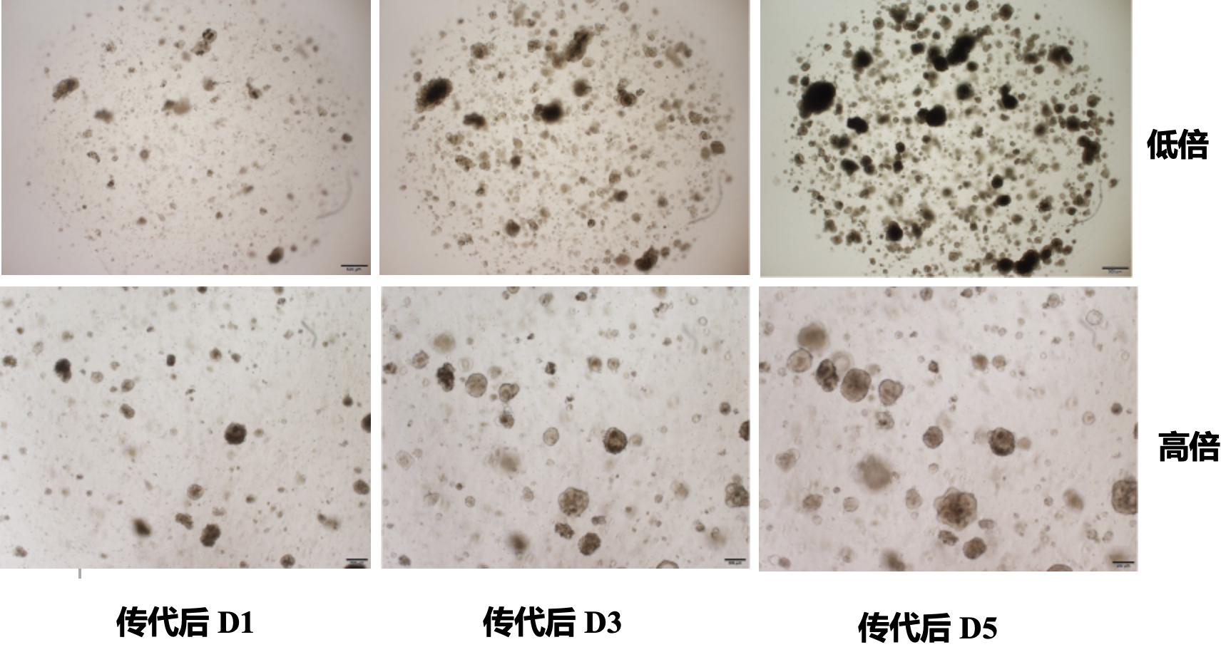 新闻图片13