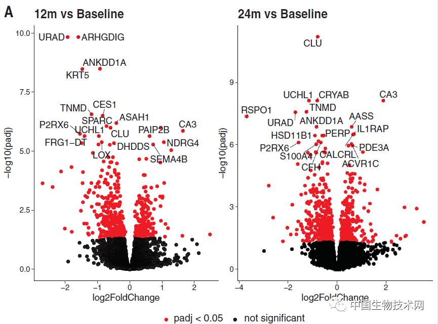 “八分饱”真的可以带来长期健康影响