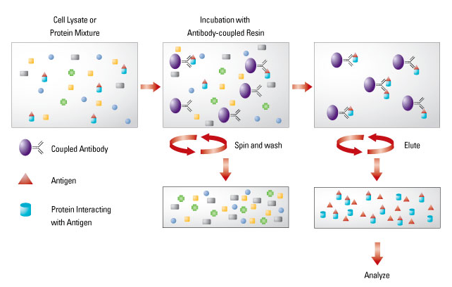 吃瓜攻略--吐血强推蛋白互作解决方案