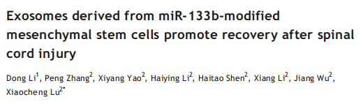 无细胞治疗领域的宠儿---外泌体