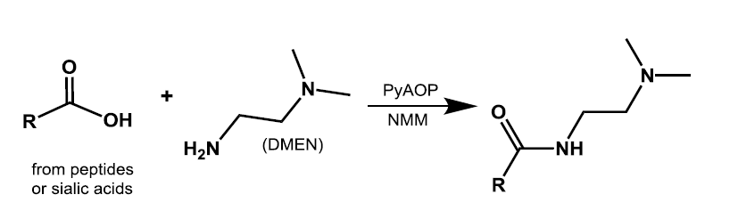 基于HCD-pd-ETD碎裂的高通量的完整糖肽定量策略解读