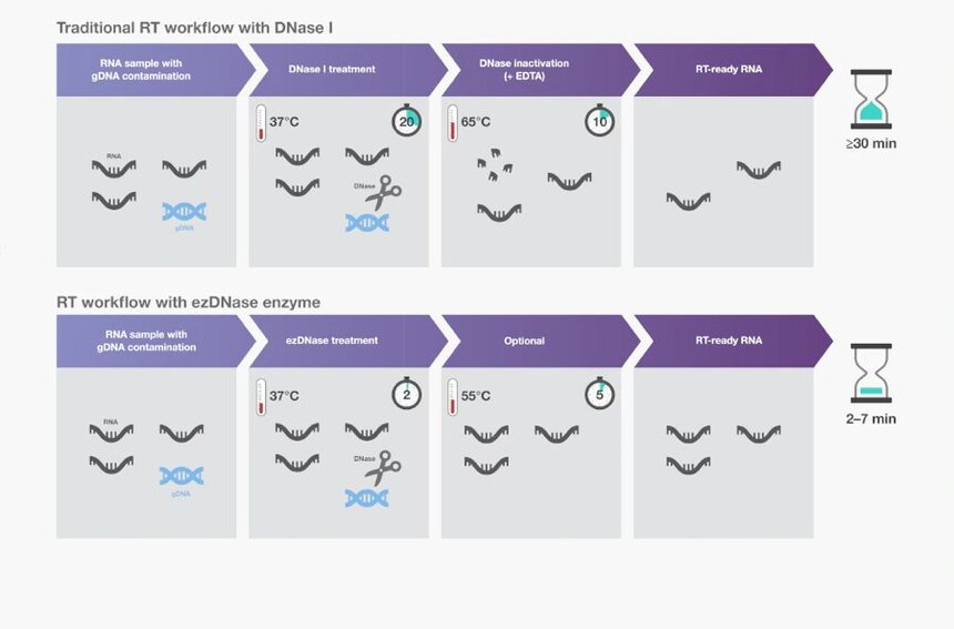 1697677987125037.jpg 1697677987125037.jpg