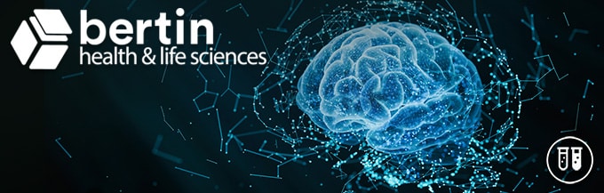 应用Precellys研磨器探讨他莫昔芬对阿那达明中枢的调节作用