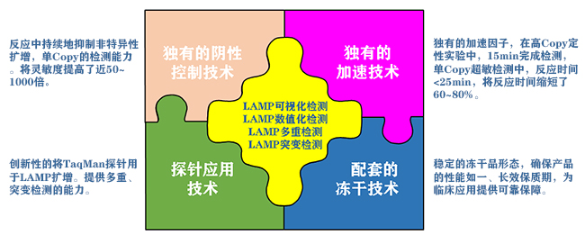 冻干LAMP-HNB变色扩增试剂盒