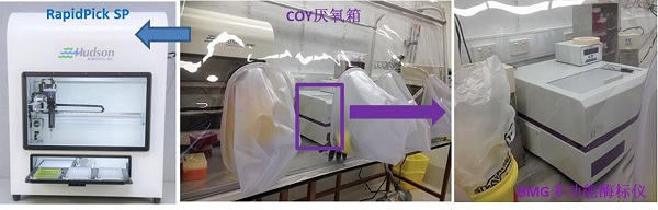 快速分离筛选肠道微生物，高通量厌氧环境实时培养监测